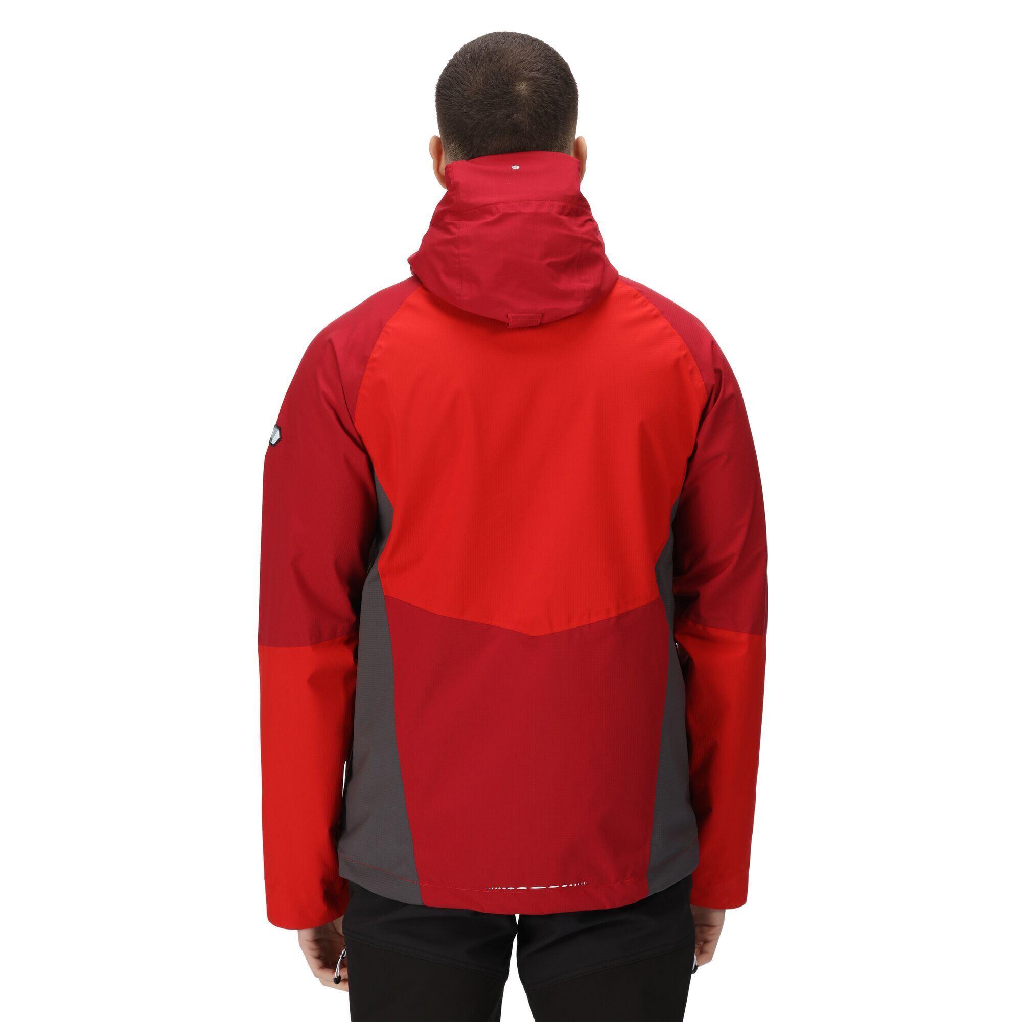 Hoodie Regatta model RMP337-A0S voor mannen 6/6