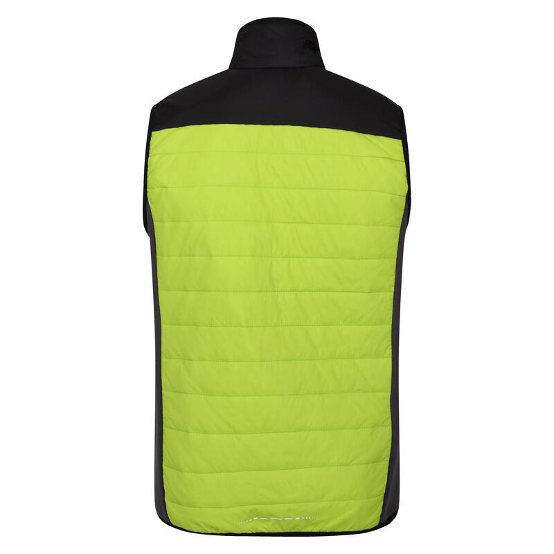 Steppweste Halton Wandern/Outdoor/Trekking Herren BriKiwi/Blk Atmungsaktiv