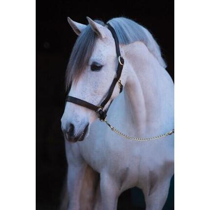 Licol cuir cob Kerbl eco