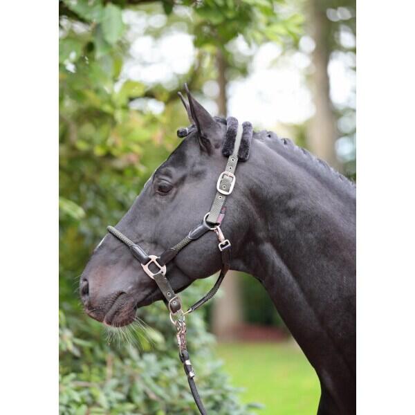 Halter cull Kerbl Cordano 5/5