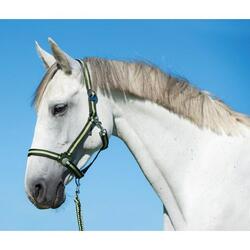 Licol nylon pony Kerbl hippo