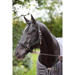 Licol avec doublure polaire shetty Kerbl Dexter