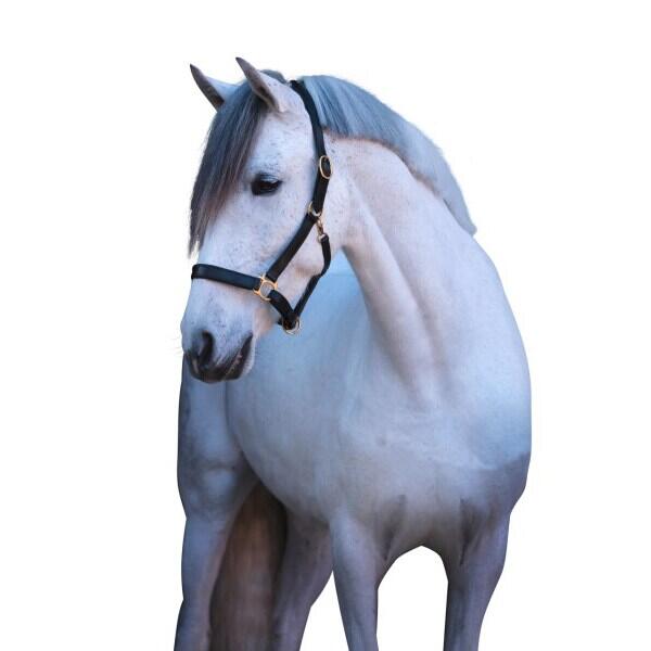 Licol cuir cob Kerbl eco 2/5