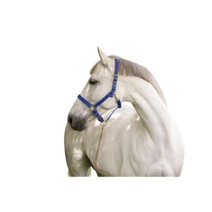 Licol full 2 réglages Kerbl mustang