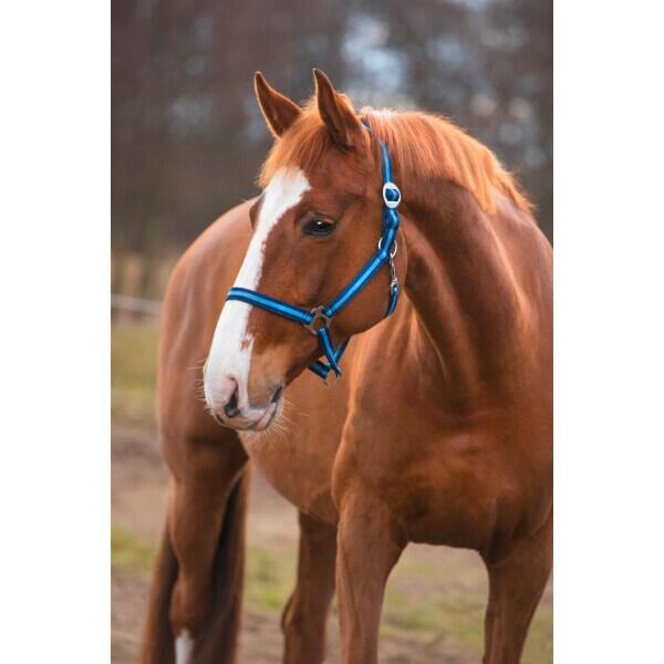 Licol nylon shetty Kerbl hippo 2/3