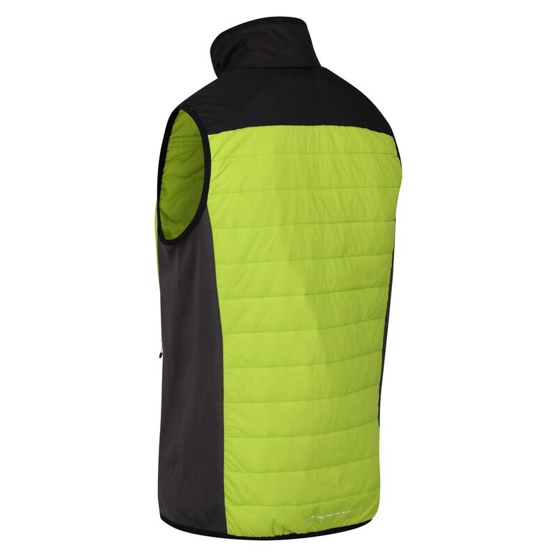 Halton VI wandelbodywarmer voor heren