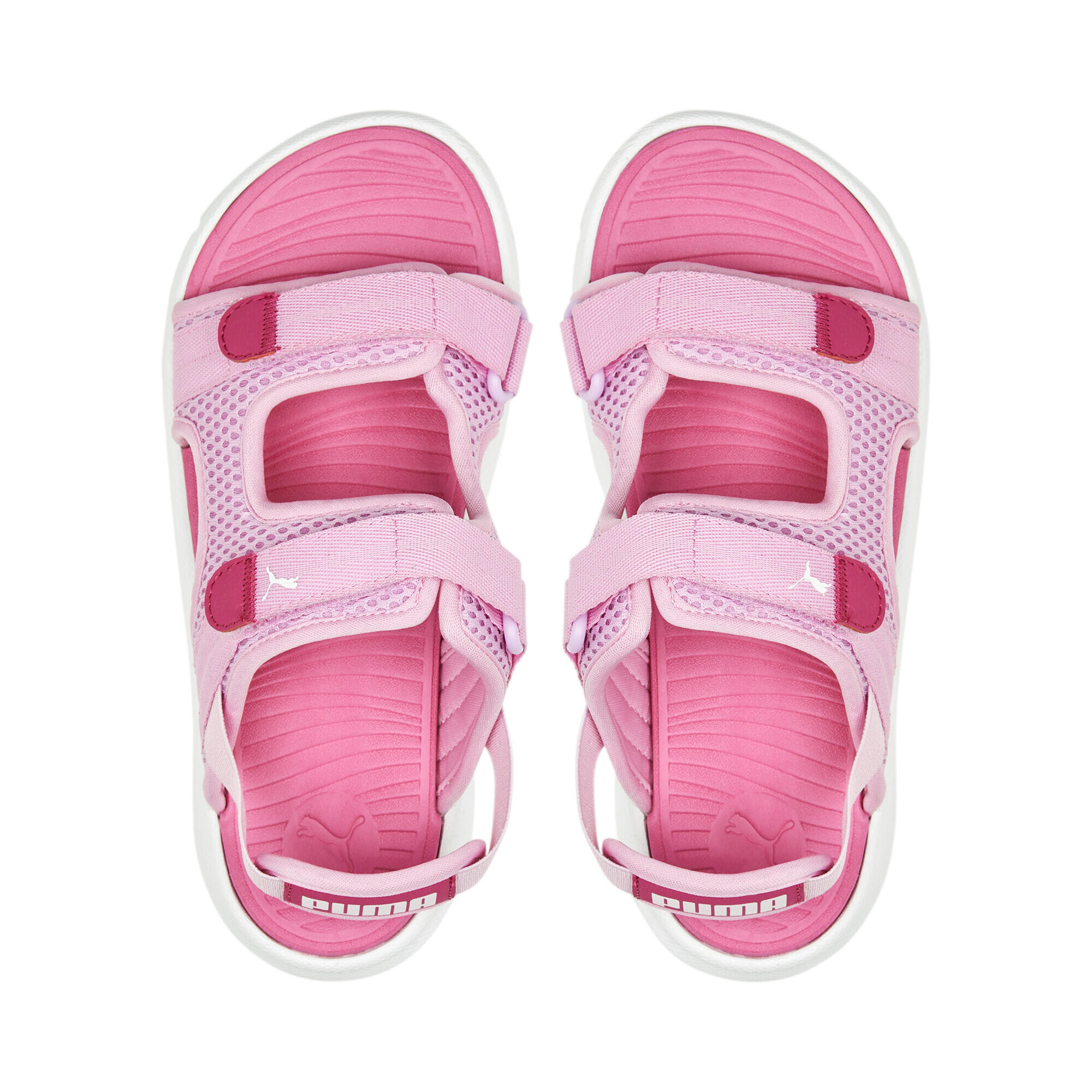 Sandalias Menino Puma Evolve Pink 6/6