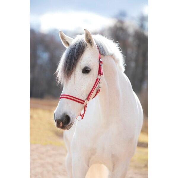Licol nylon full Kerbl hippo 4/5
