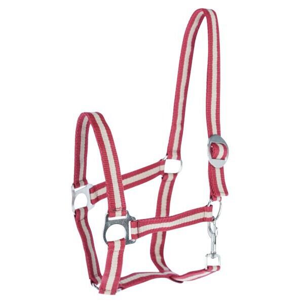 Licol nylon shetty Kerbl hippo 1/3