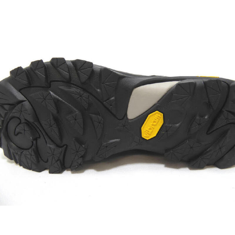 Wandelschoenen voor dames Mount Crillon High - Grijs