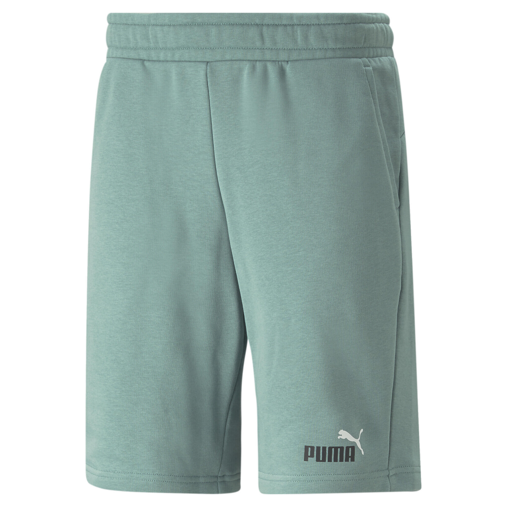 PUMA picture