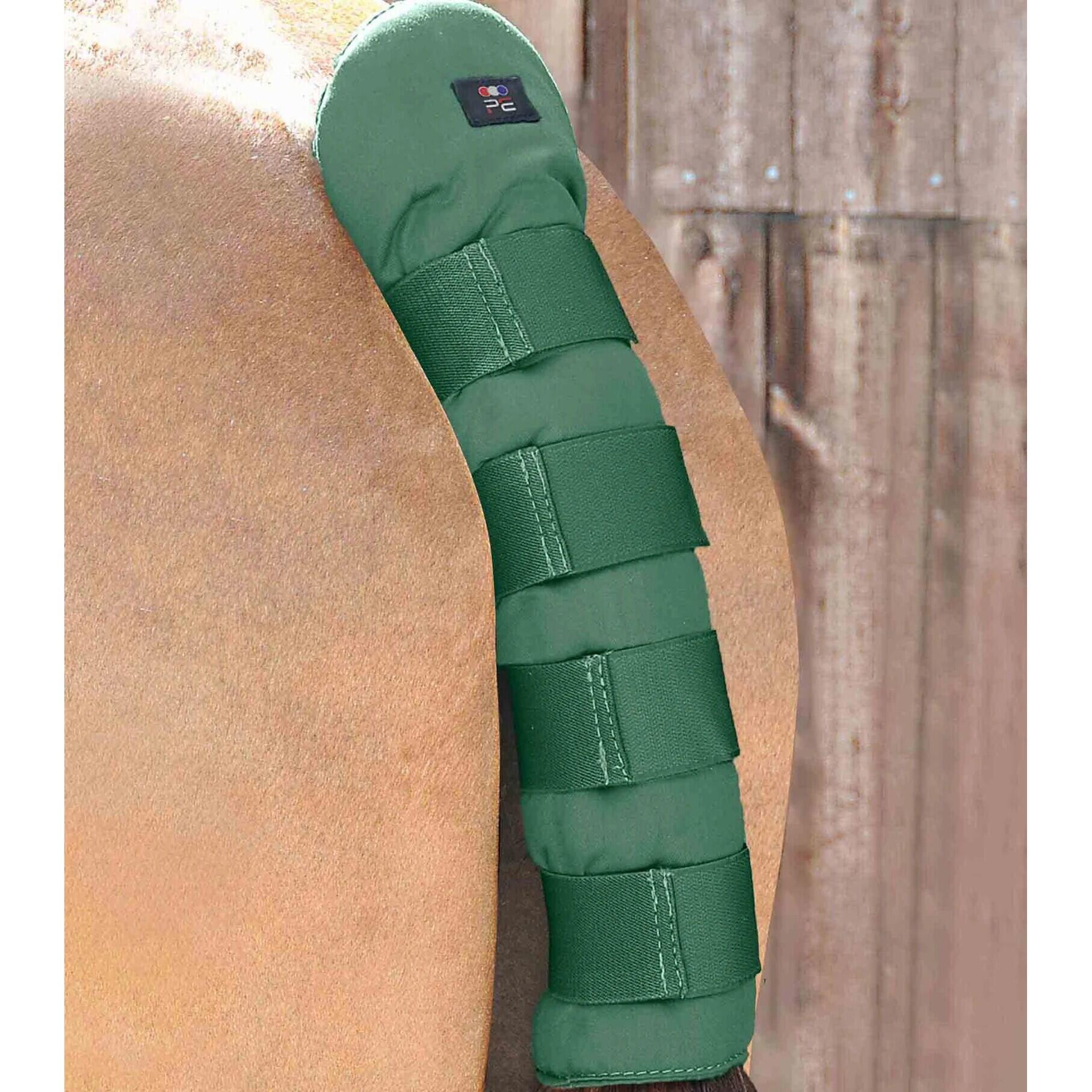 Protège-queue pour cheval Premier Equine Stay-Up 2/3