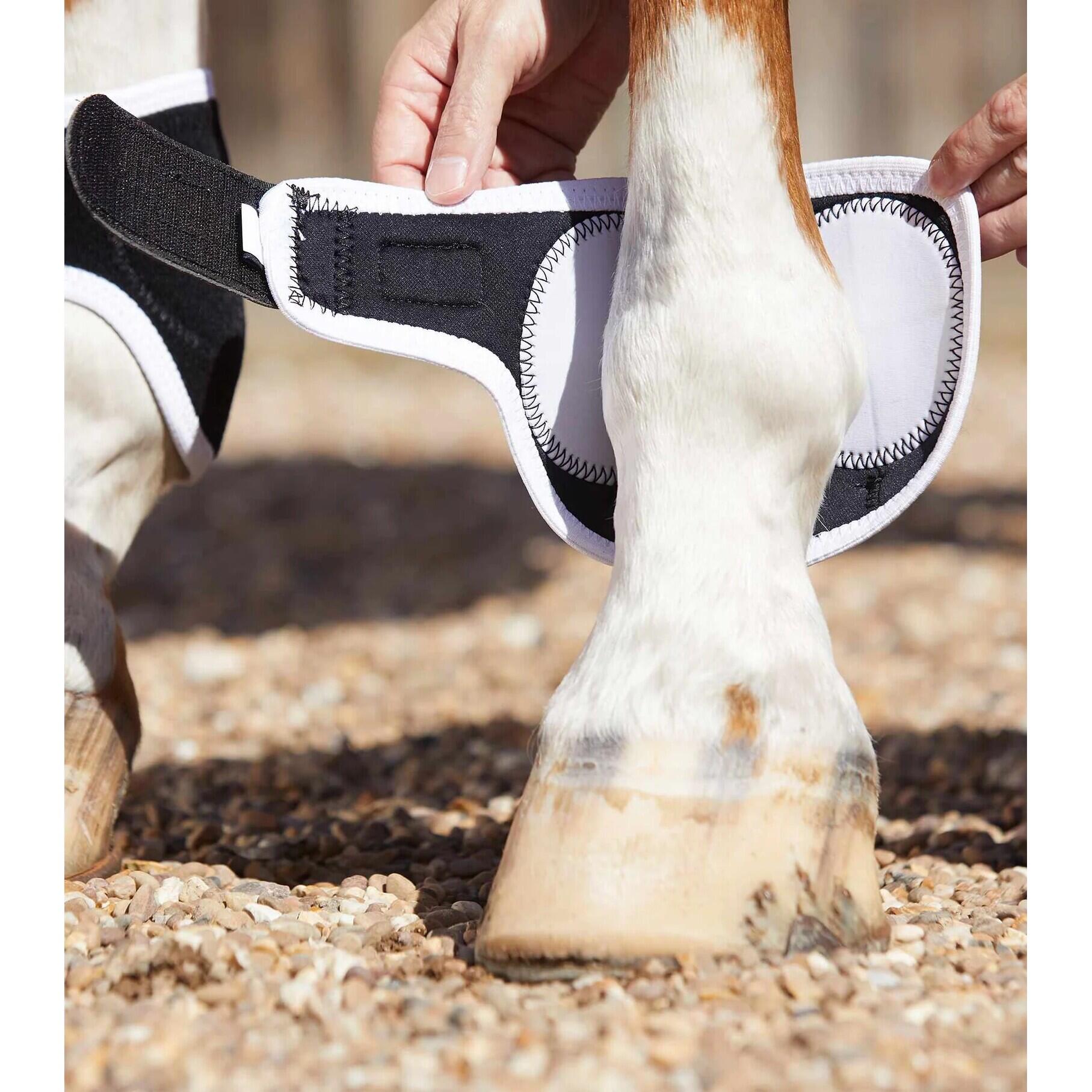 Magnetische Pferdeglocken Premier Equine Magni-Teque 3/5