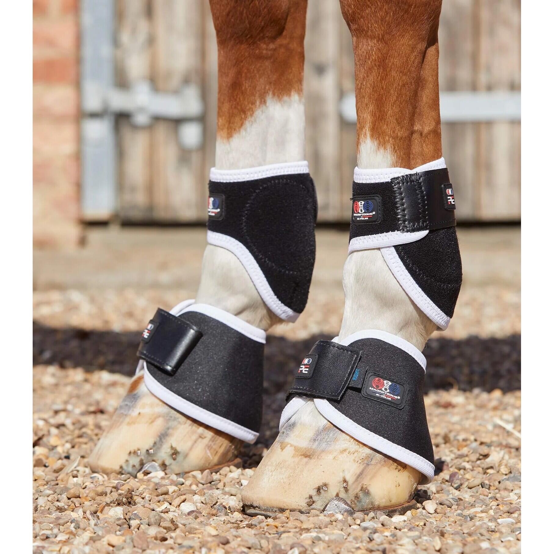 Cloches pour cheval magnétiques Premier Equine Magni-Teque 6/6