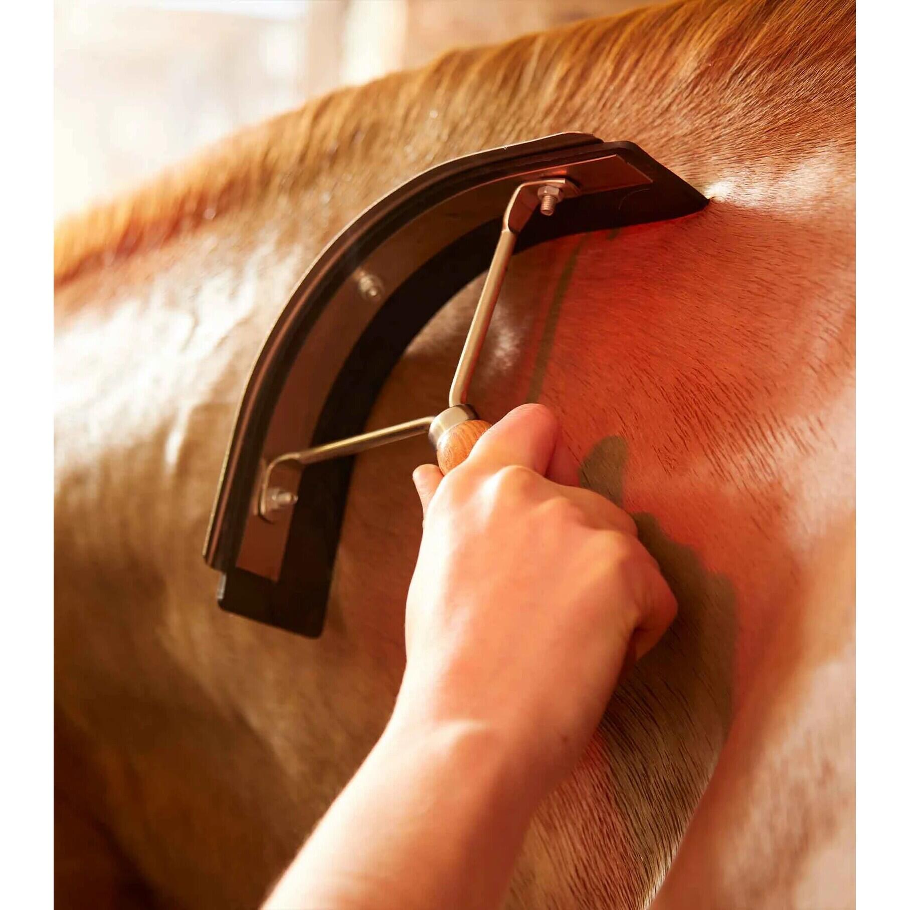 Hitze-Metall-Messer mit Holzgriff Premier Equine 2/2