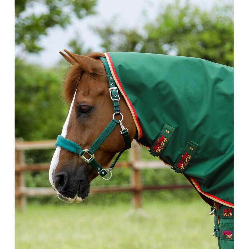 Couverture d'extérieur imperméable pour cheval avec couvre-cou Premier Equine Bu