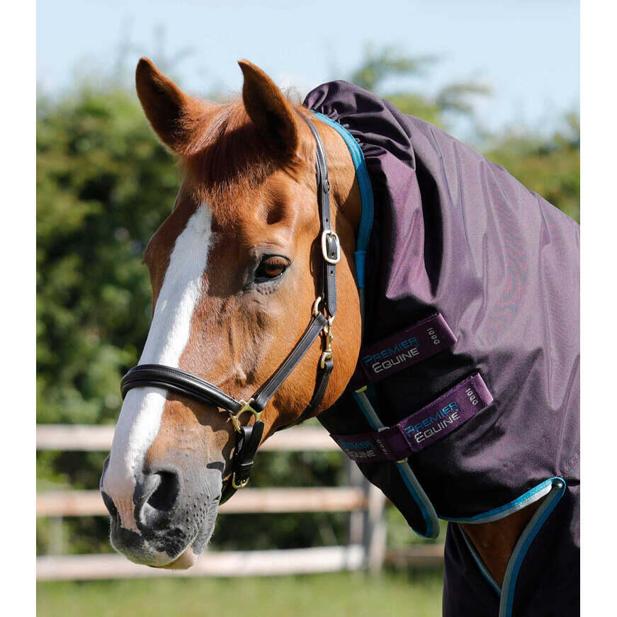 Waterproof horse rug with neck cover Premier Equine B