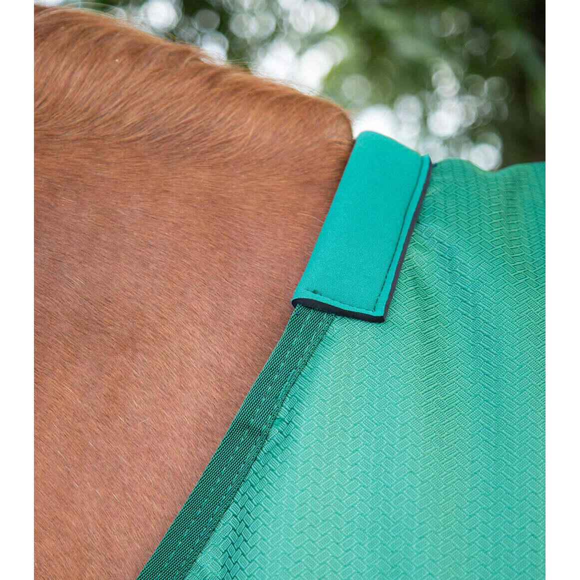 Originele paardendeken Premier Equine Akoni 0g 2/5