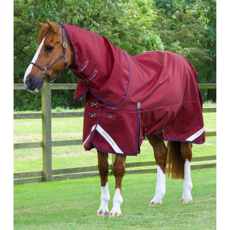 Outdoor-Decke für Pferde mit Halsabdeckung Premier Equine Titan 50 g