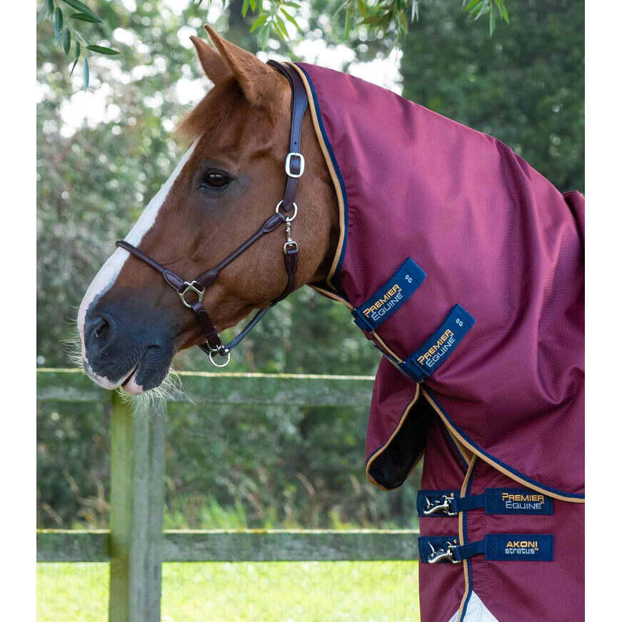 Outdoor paardendeken met halsbedekking Premier Equine Akoni Stratus 0g 2/5