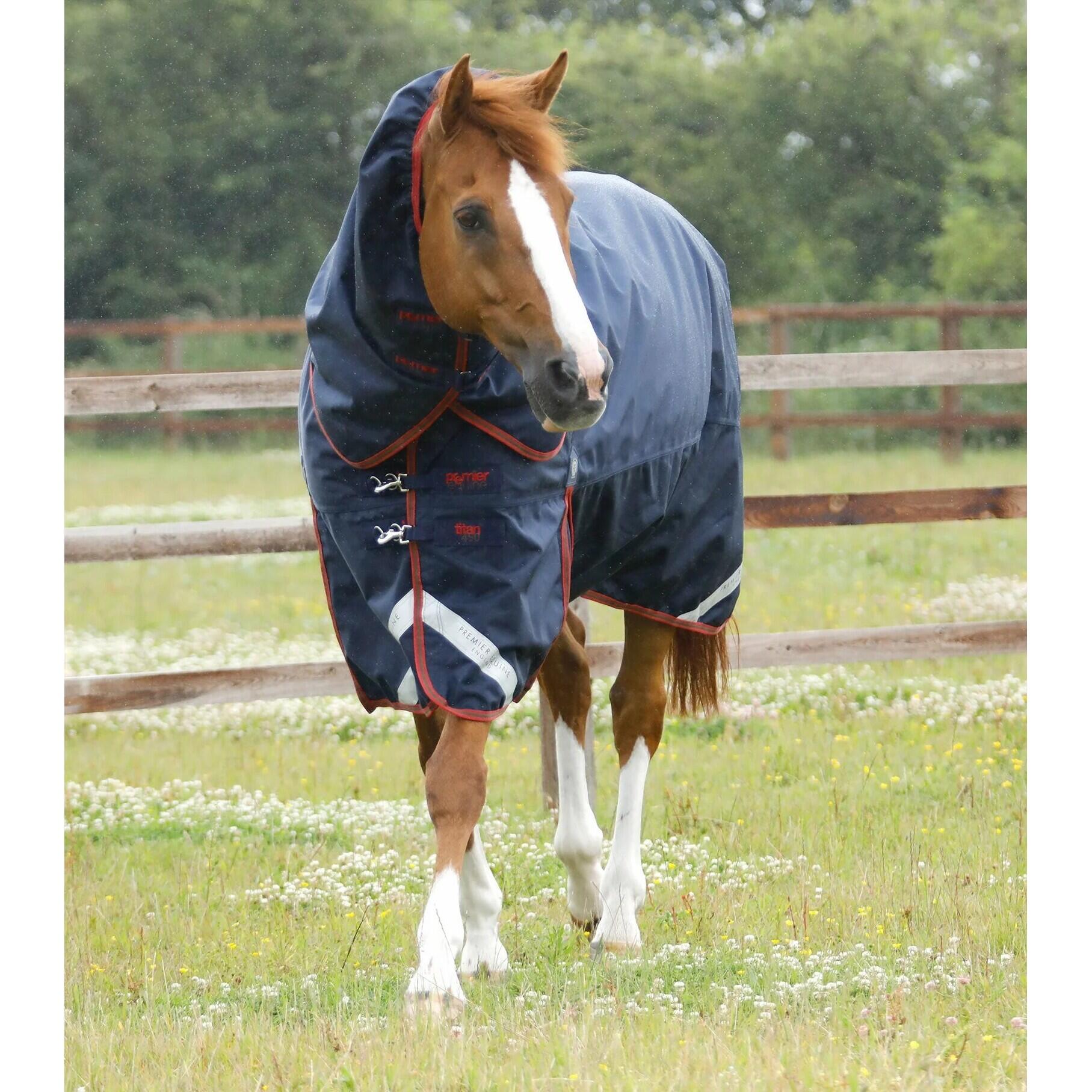 PREMIER EQUINE picture
