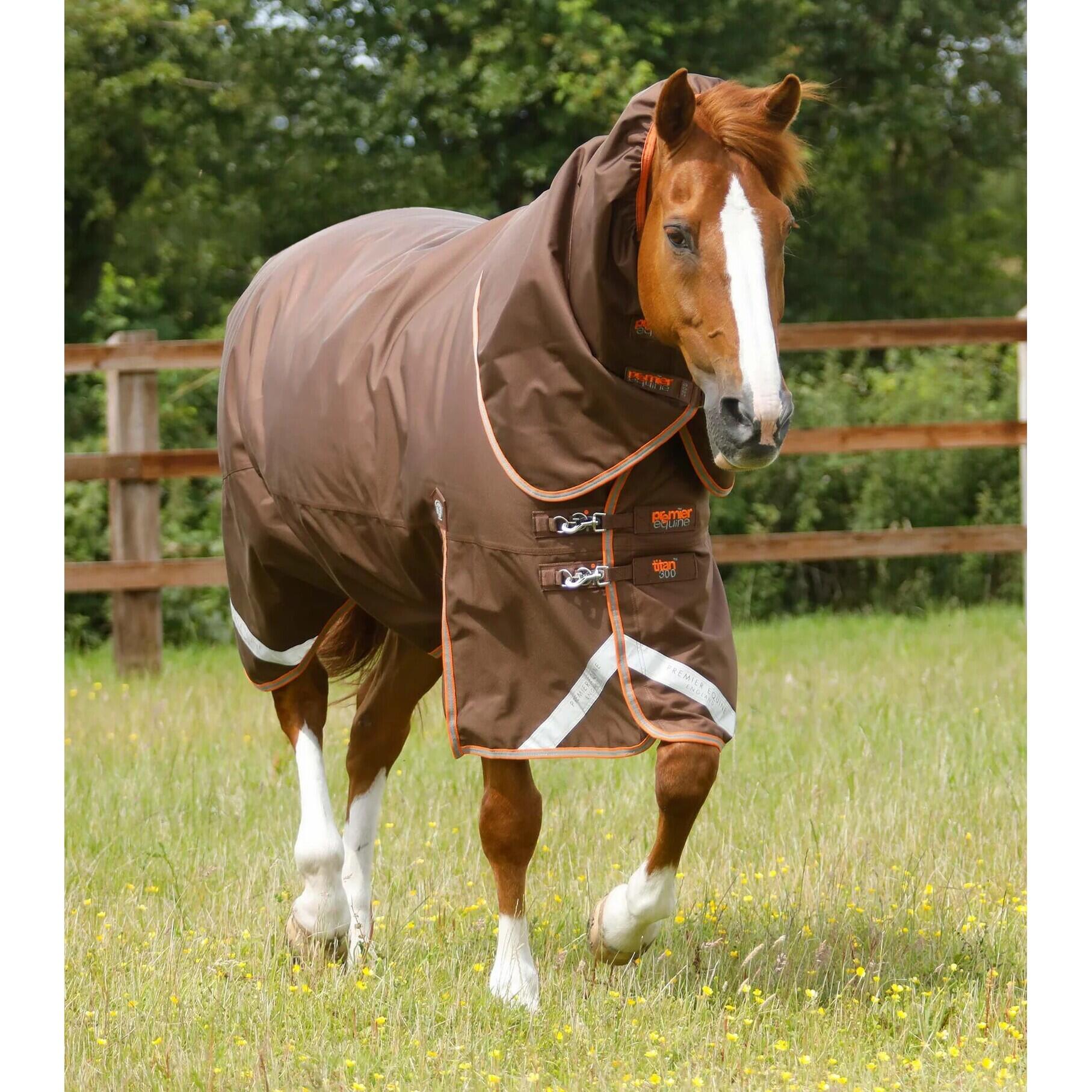 PREMIER EQUINE picture