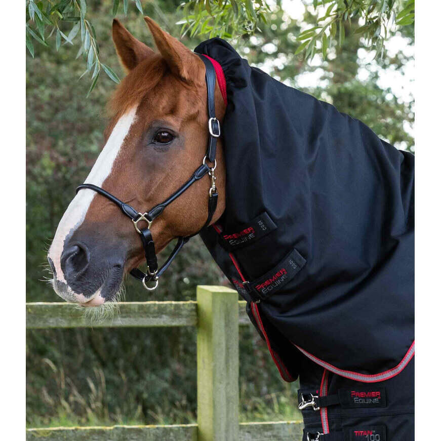 Couverture d'extérieur pour cheval avec couvre cou Premier Equine Titan 100 g 6/6