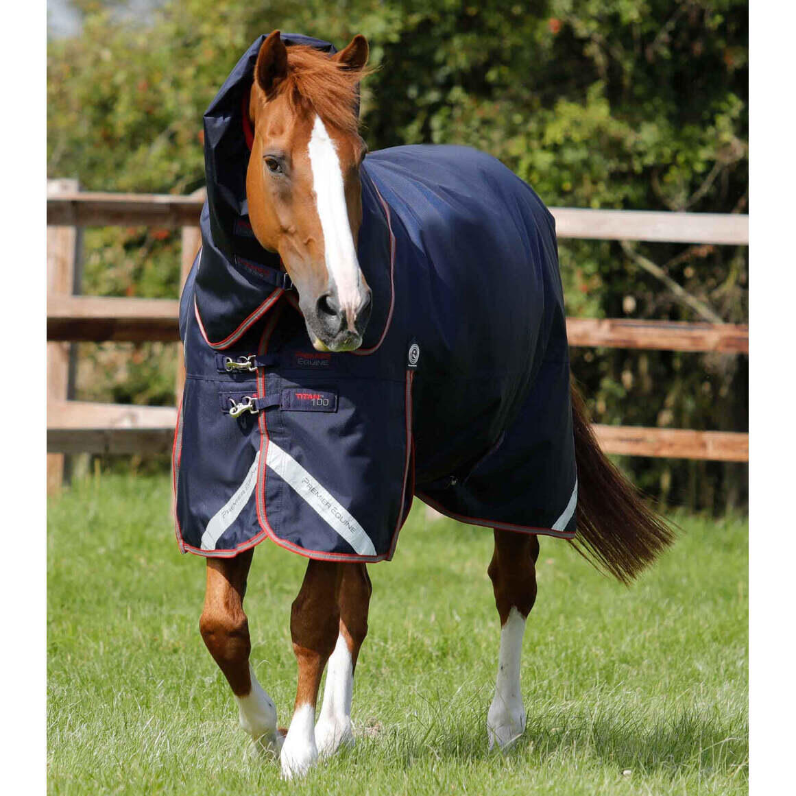 Outdoor horse blanket with neck cover Premier Equine Titan  100 g