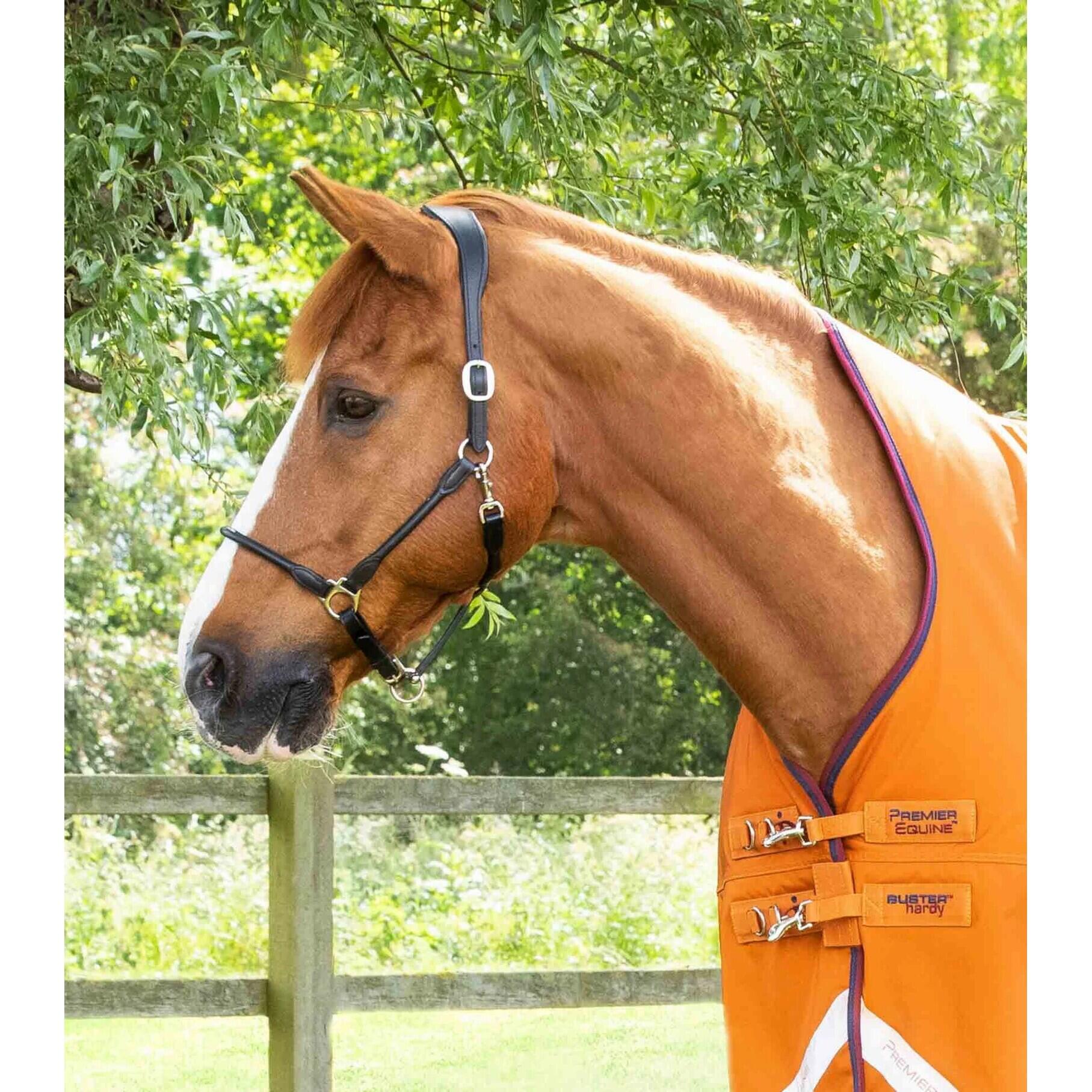Waterdichte paardendeken Premier Equine Buster Hardy 200 g 2/5