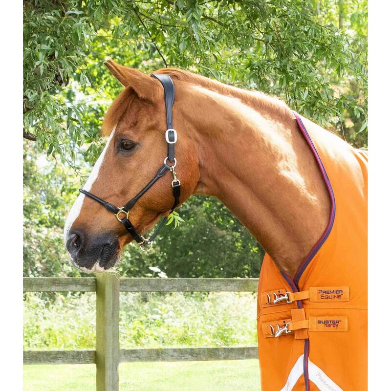 Coperta impermeabile per cavalli Premier Equine Buster Hardy 200 g