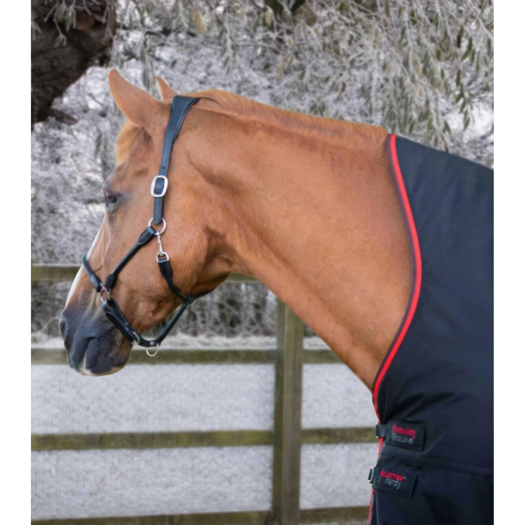 Waterdichte paardendeken Premier Equine Buster Hardy 400 g 2/4