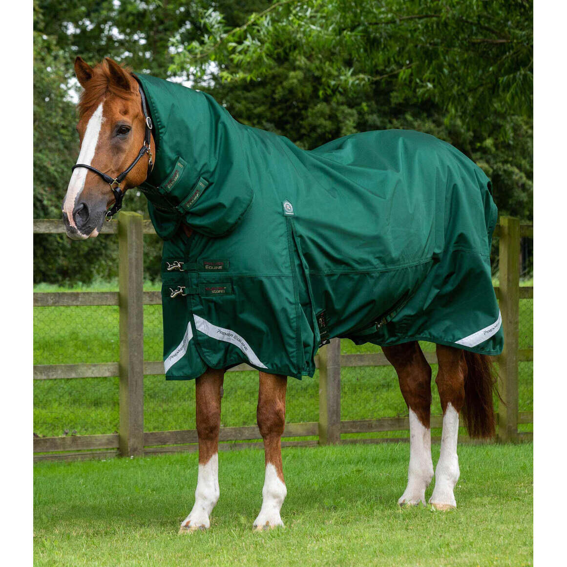 PREMIER EQUINE picture