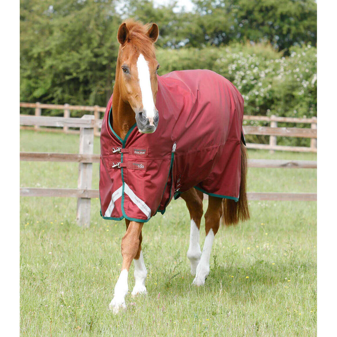 Outdoor paardendeken Premier Equine Titan 100 g 1/5