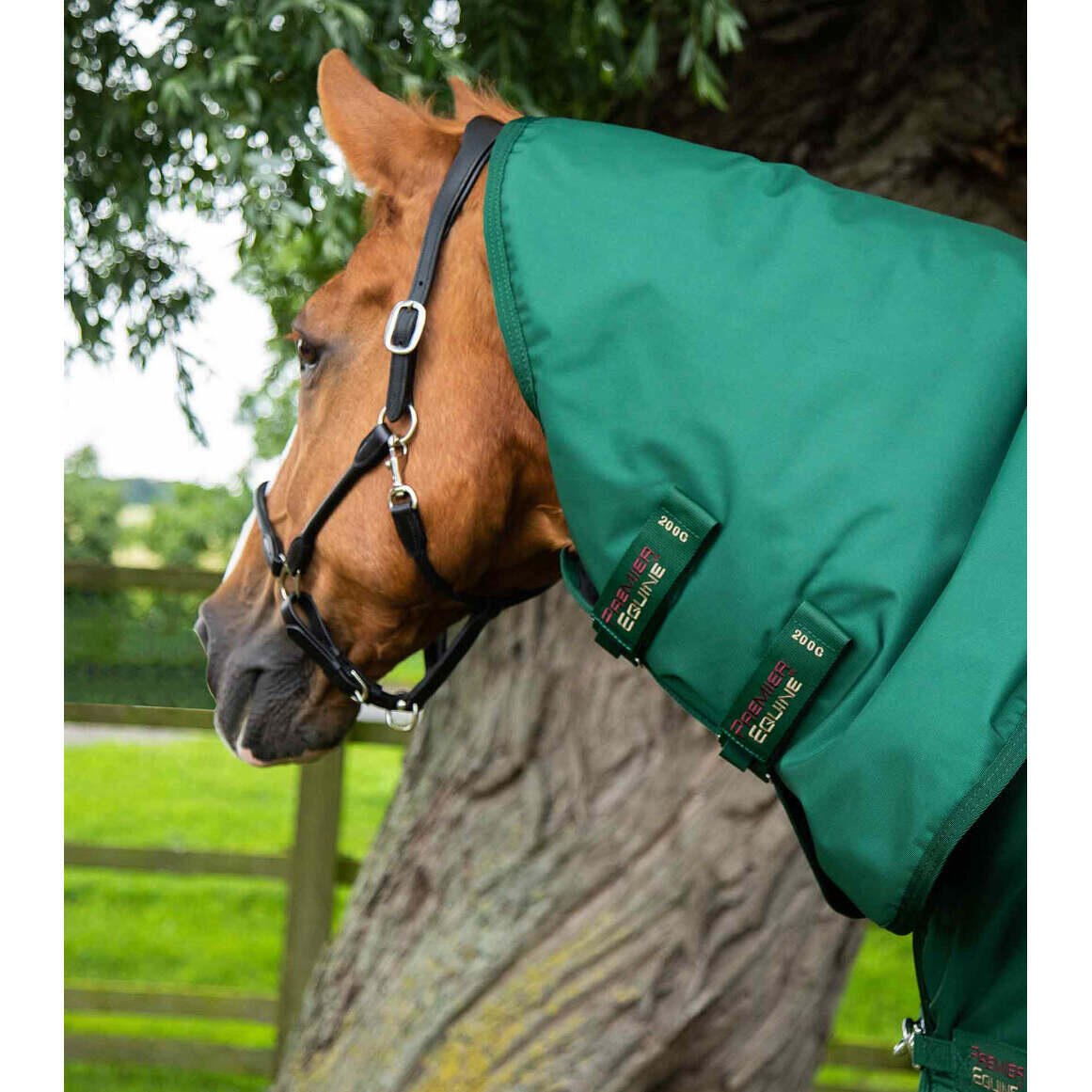 Couverture d'extérieur imperméable pour cheval avec couvre-cou Premier Equine Bu 2/5