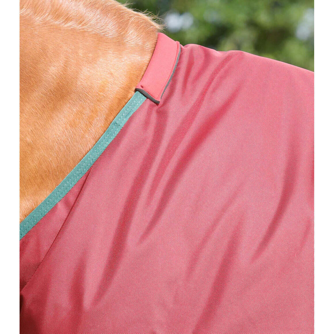 Outdoor paardendeken Premier Equine Titan 100 g 2/5
