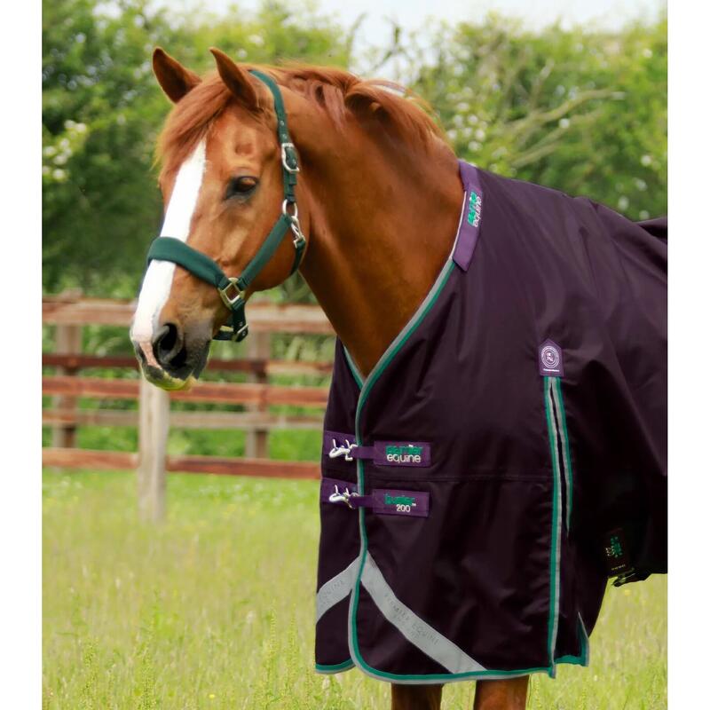 Couverture d'extérieur imperméable pour cheval avec couvre-cou Premier Equine Bu