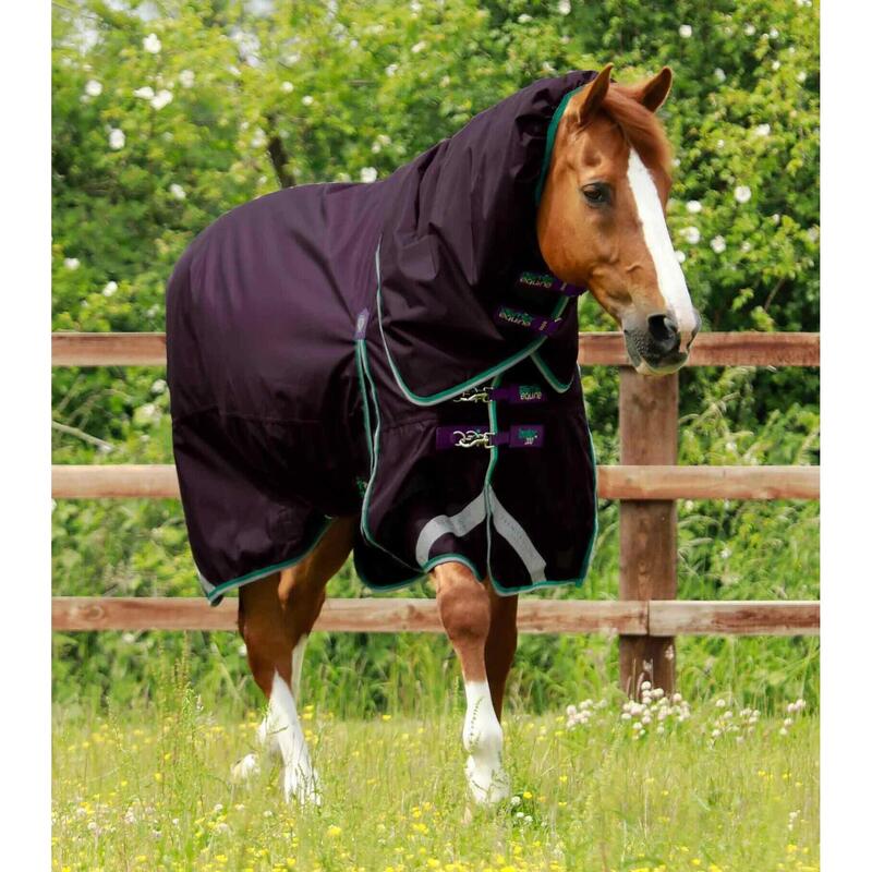 Couverture d'extérieur imperméable pour cheval avec couvre-cou Premier Equine Bu