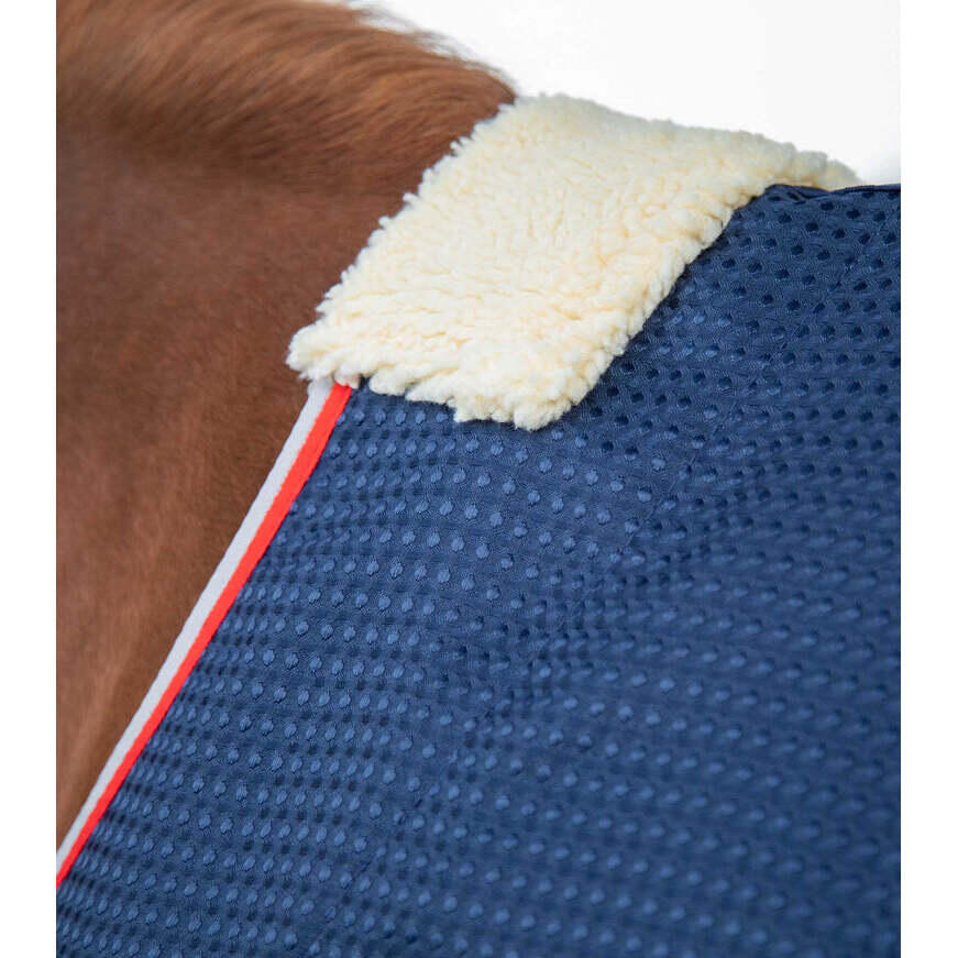 Second hand - Coperta da esterno per cavalli Premier Equine Cooler Buster 3/5