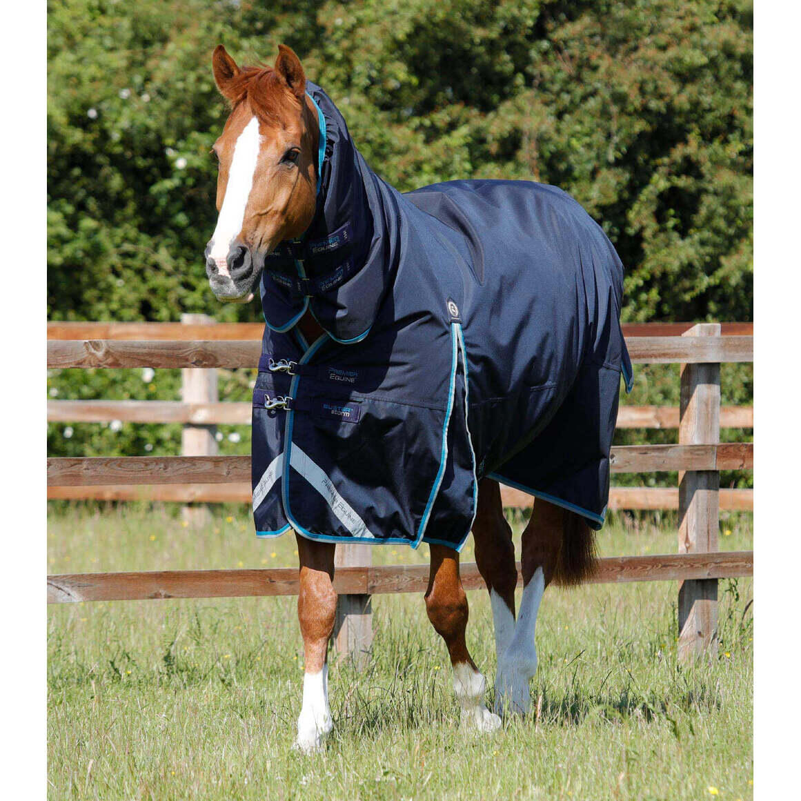 Waterproof horse rug with neck cover Premier Equine B