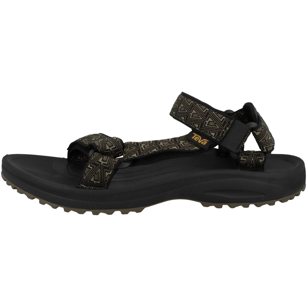 TEVA picture
