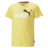 Essentials+ T-shirt met tweekleurig logo voor jongeren PUMA Mustard Seed Yellow