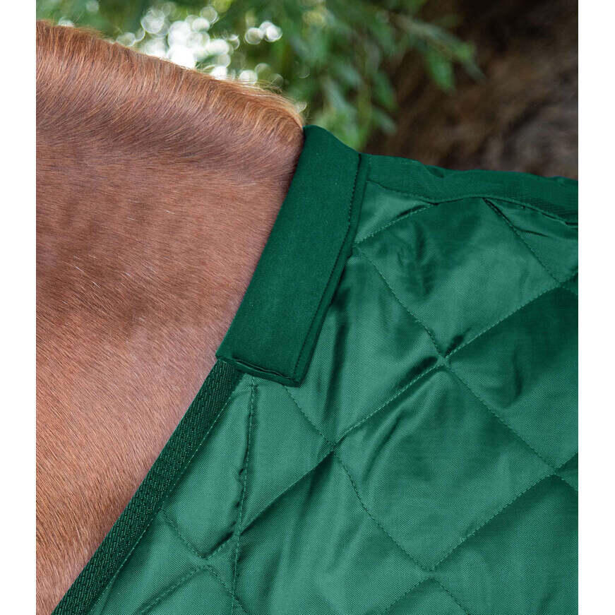 Couverture d'écurie pour cheval Premier Equine Tuscan 200 g 2/5