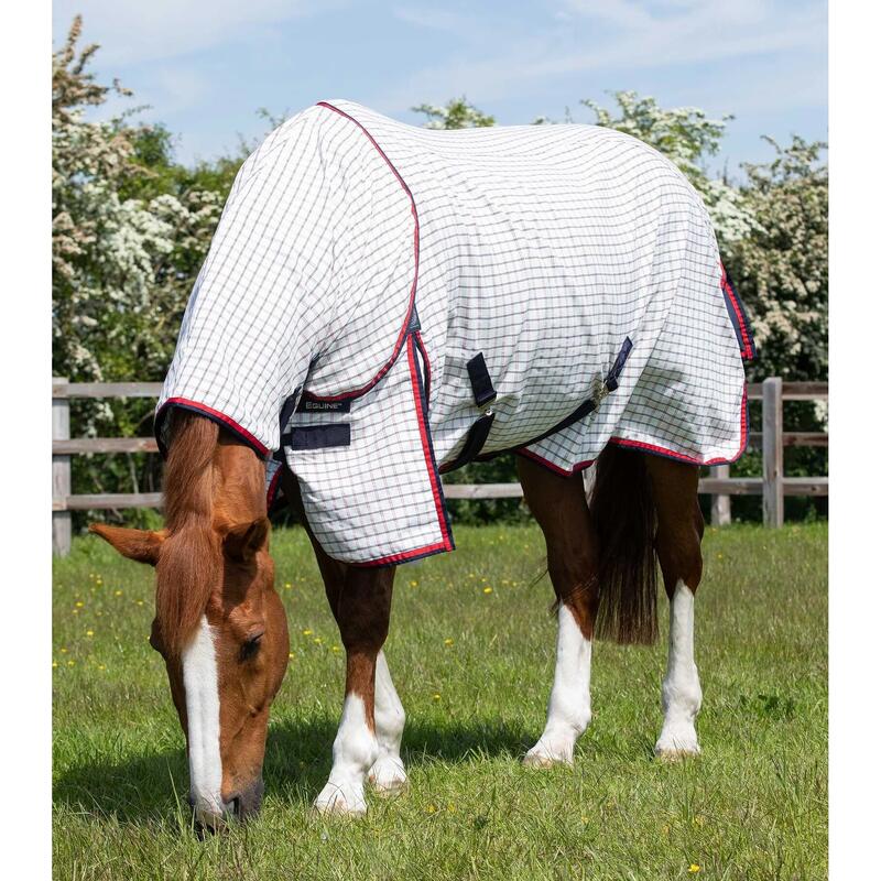 Stalldecke für Pferde aus Baumwolle mit Halsabdeckung Premier Equine