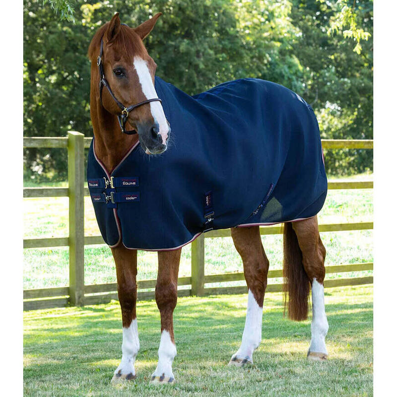 Hemd für Pferd Premier Equine Airflow Cooler