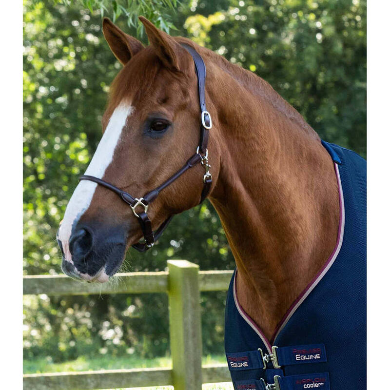 Chemise pour cheval Premier Equine Airflow Cooler