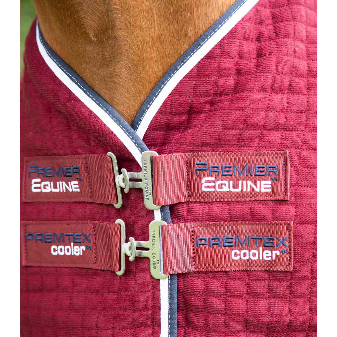 Abschwitzdecke Premier Equine Premtex 2/5