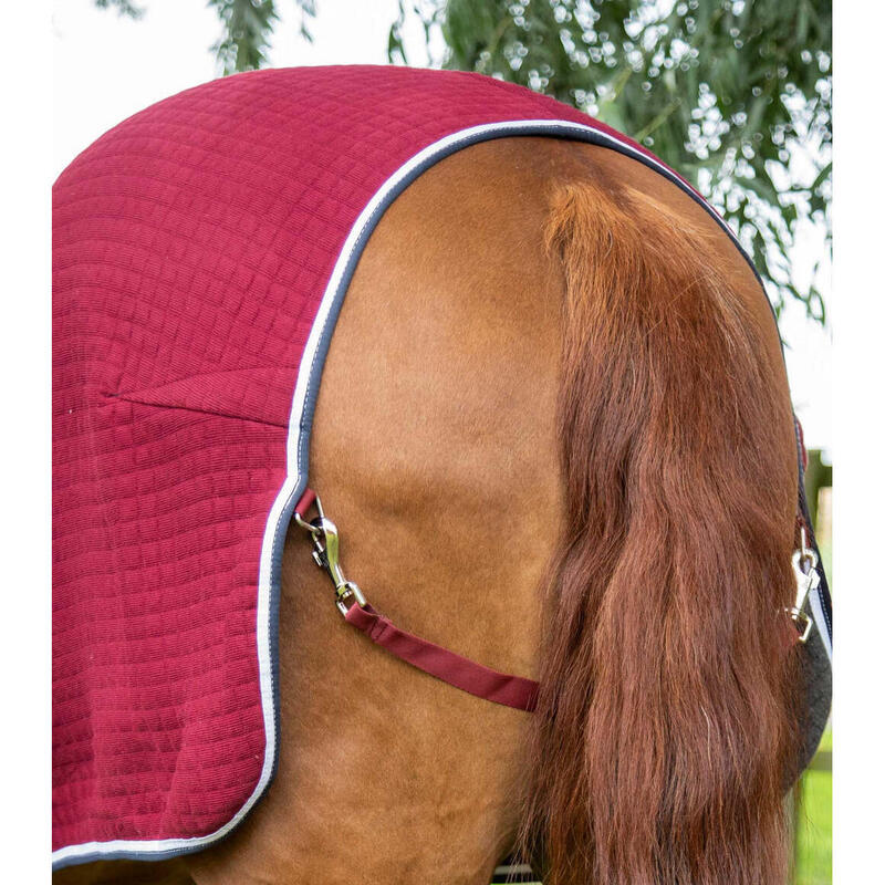 Camicia di asciugatura per cavalli Premier Equine Premtex