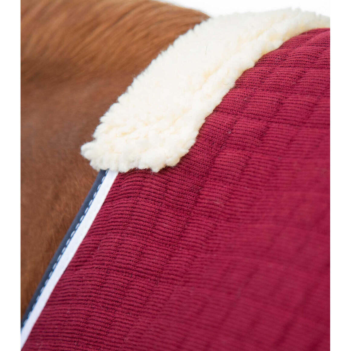 Abschwitzdecke Premier Equine Premtex 3/5