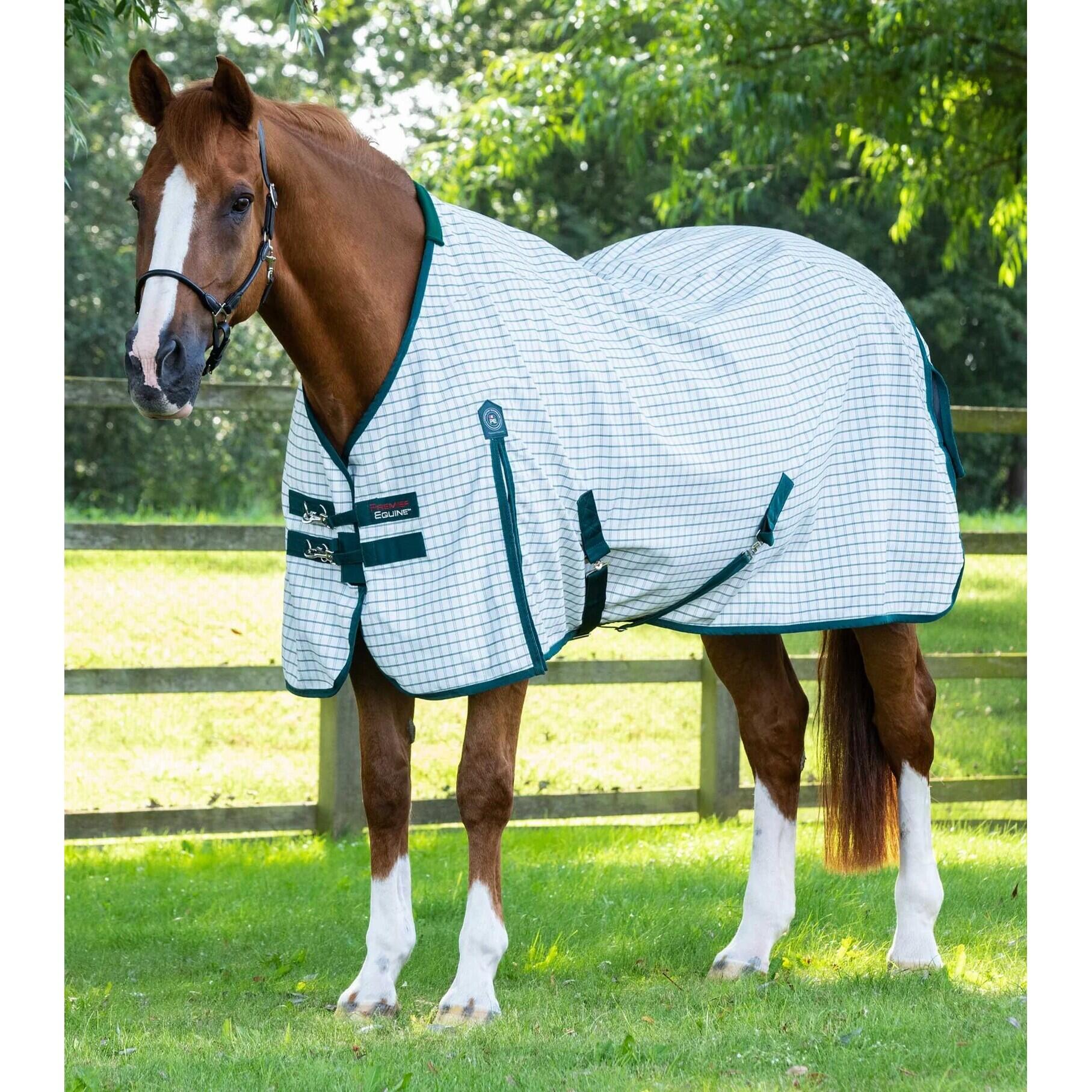 Cotton horse blanket Premier Equine