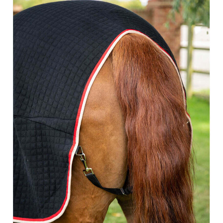 Drooghemd voor paarden Premier Equine Premtex 5/5